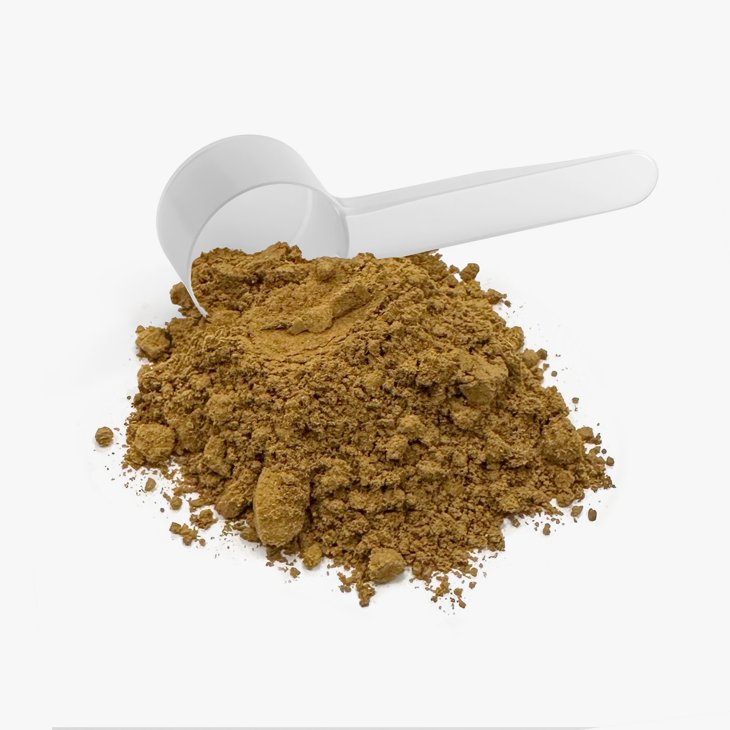 Mushroom Fuse — Instant Mushroom Coffee (Lion's Mane + Chaga)